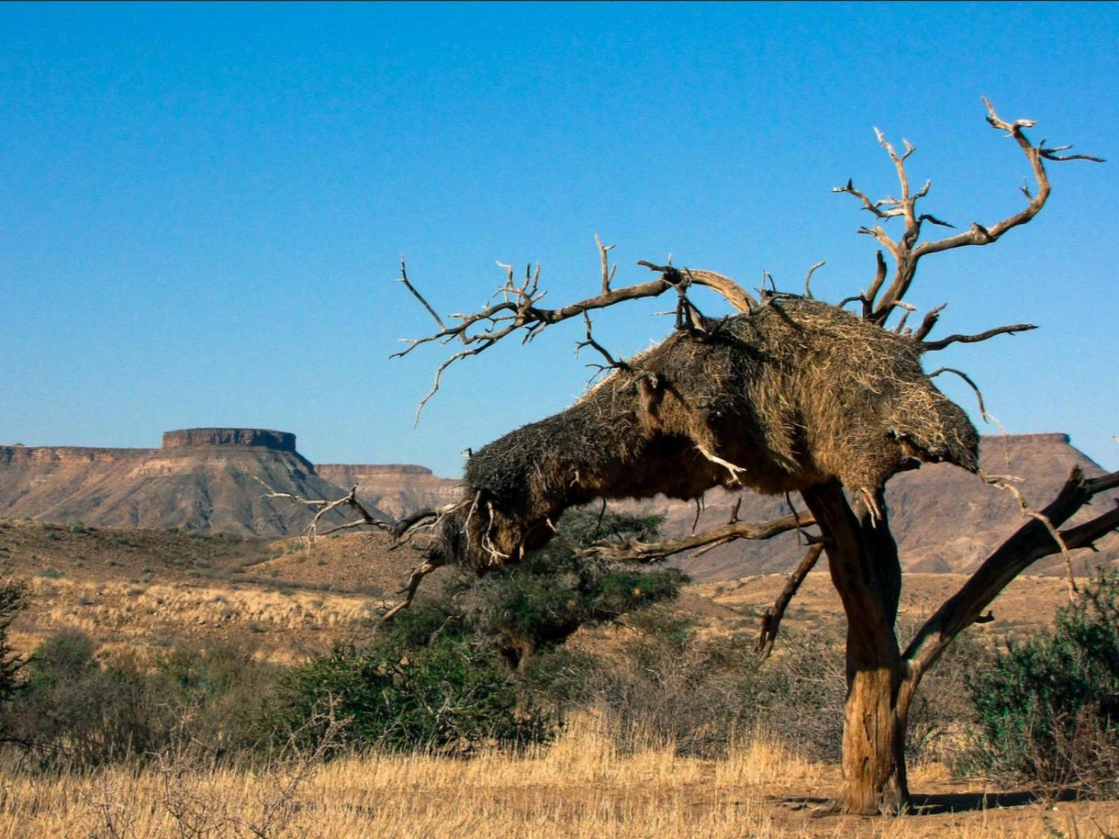Mount Canyon Guest Farm Keetmanshoop Extérieur photo