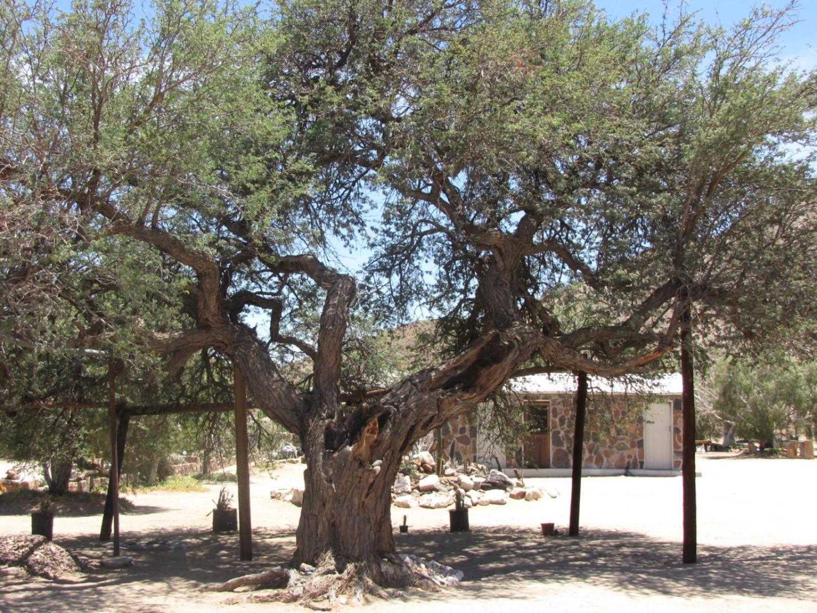 Mount Canyon Guest Farm Keetmanshoop Extérieur photo
